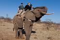 014 Zimbabwe, olifantentocht